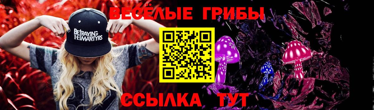 Псилоцибиновые грибы Psilocybine cubensis Нижневартовск